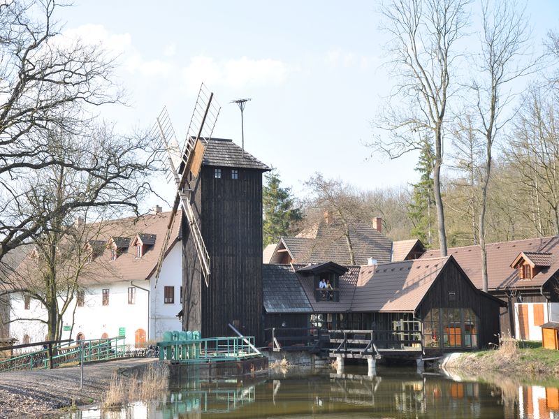 DSC_0417.JPG