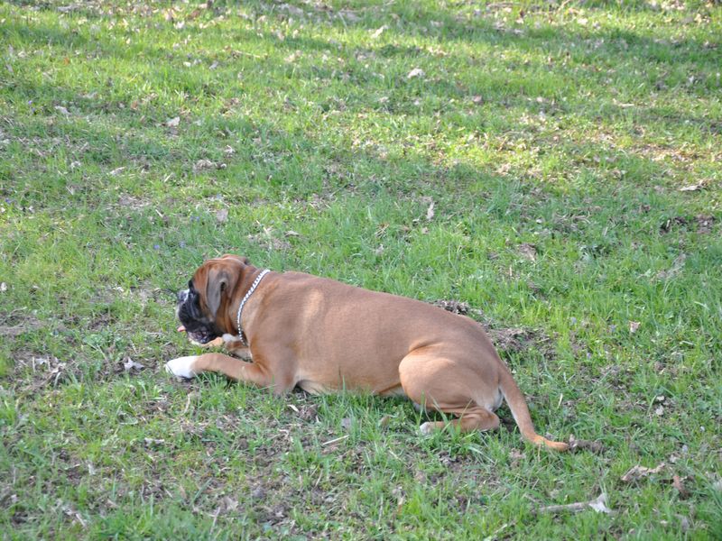 DSC_0433.JPG