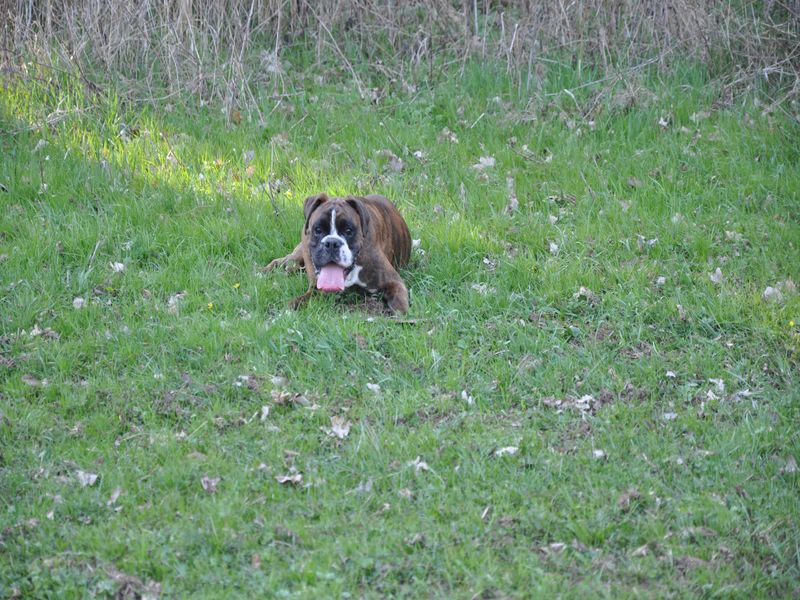DSC_0439.JPG