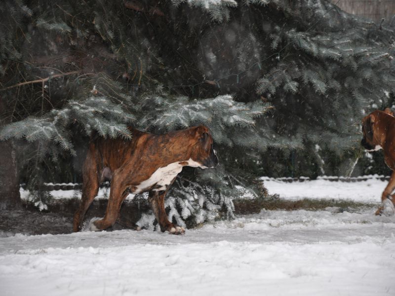 DSC_0184.JPG