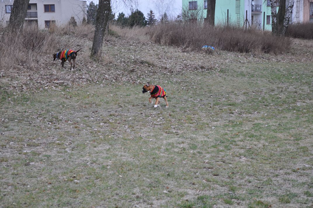DSC_0045.JPG