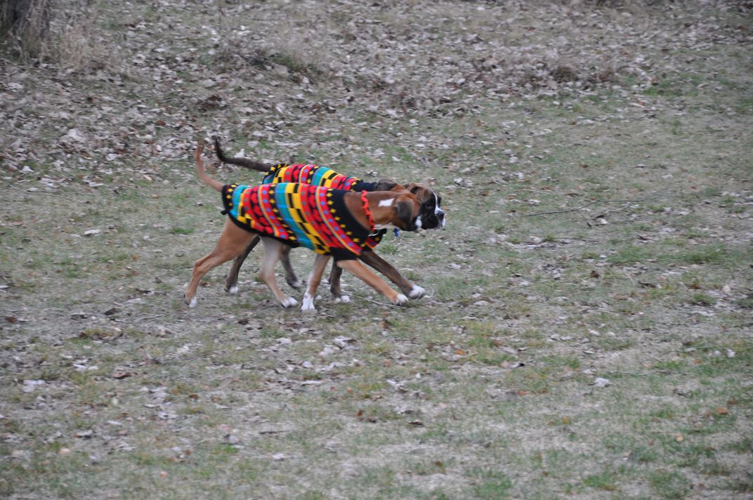 DSC_0047.JPG