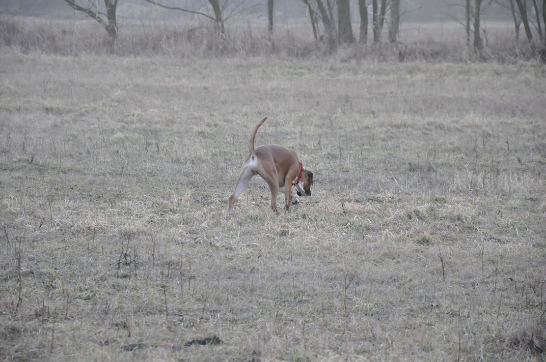 DSC_0453.JPG