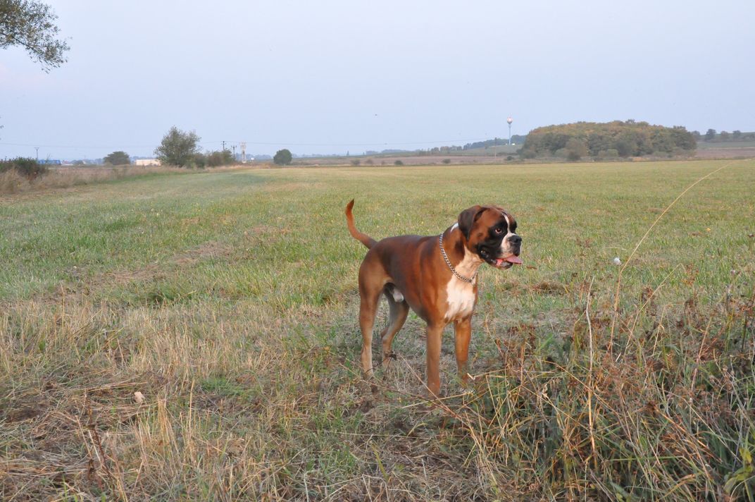 DSC_0029.JPG