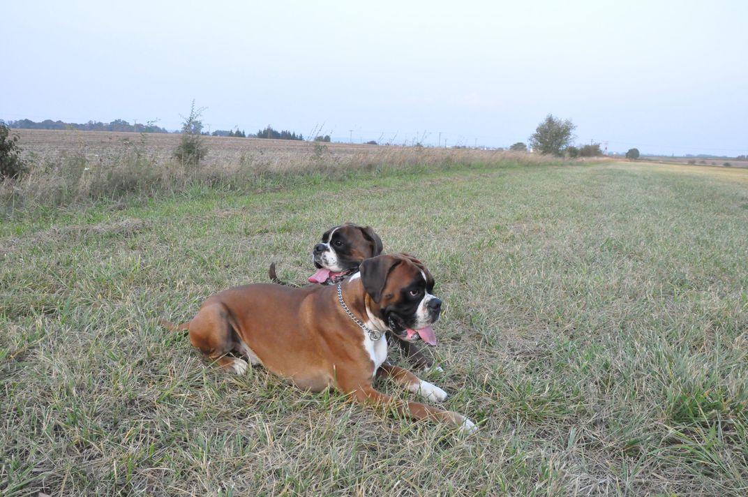 DSC_0035.JPG