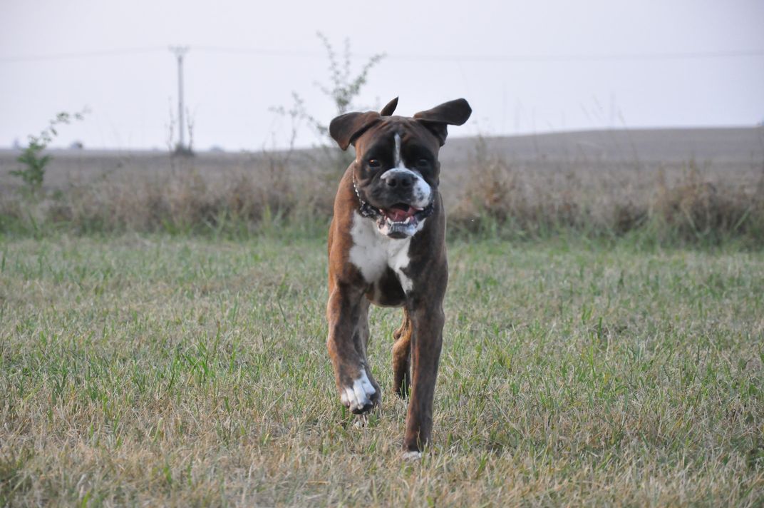 DSC_0046.JPG