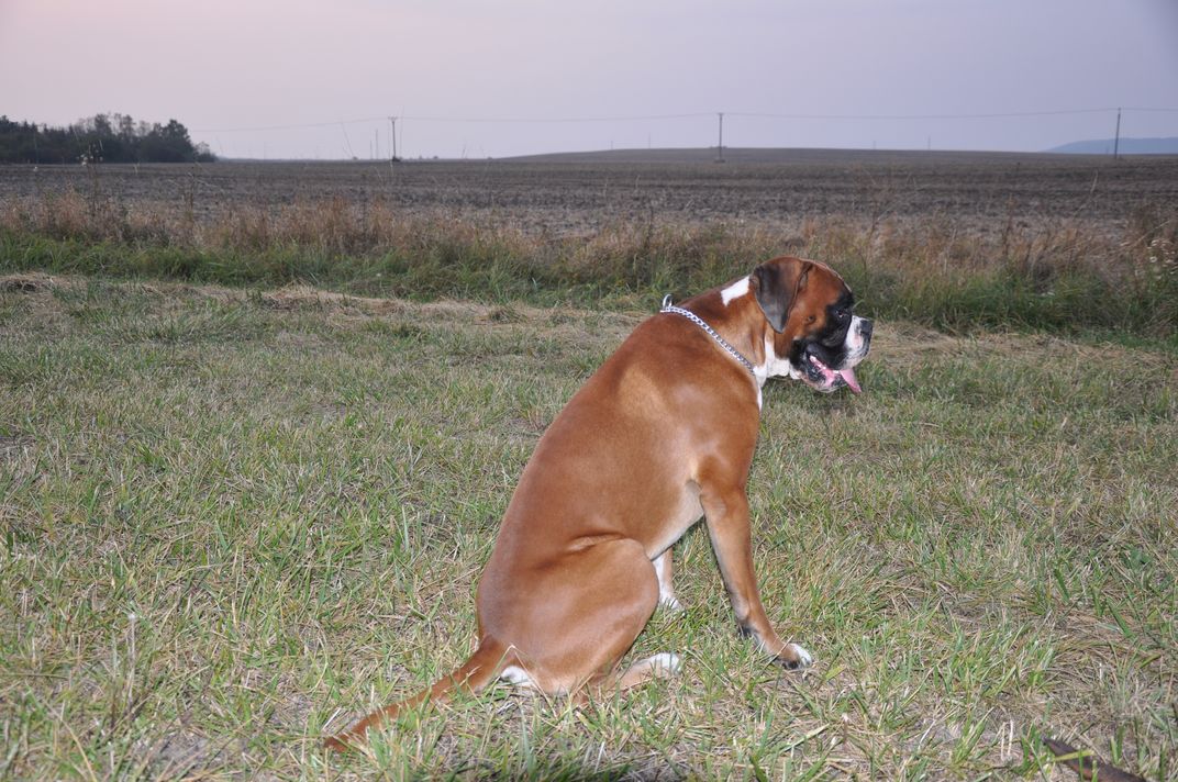 DSC_0058.JPG