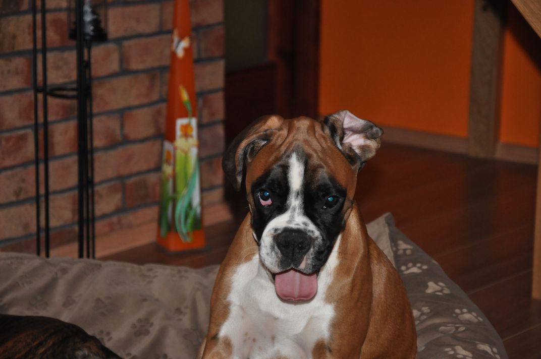 DSC_0103.JPG