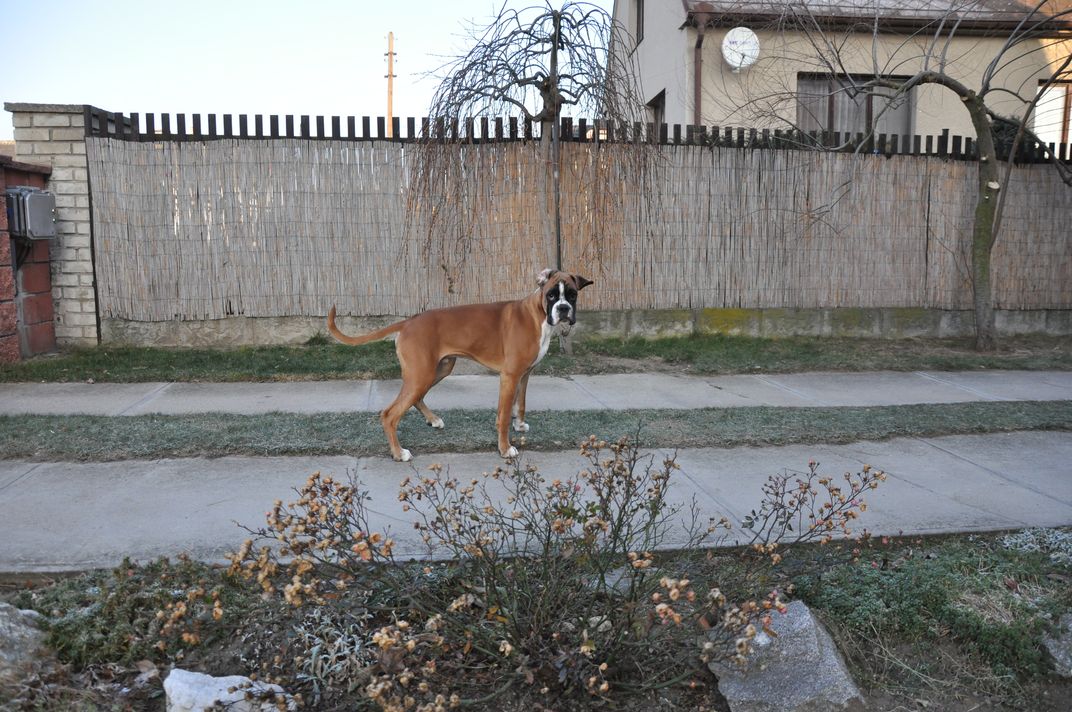 DSC_0155.JPG
