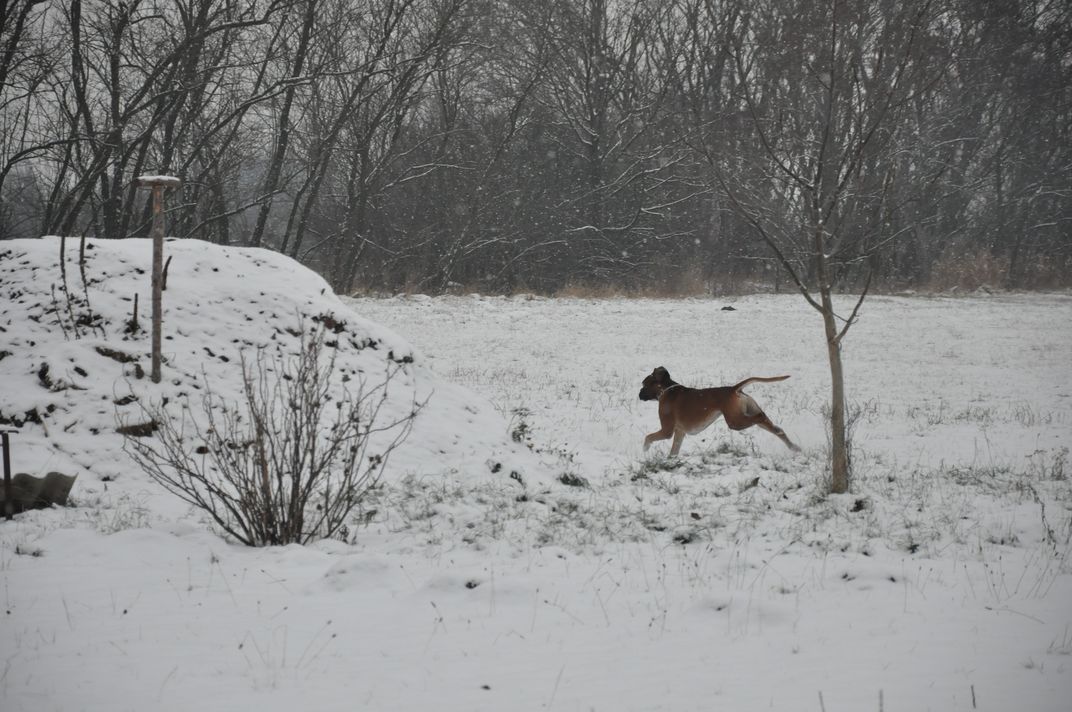 DSC_0178.JPG