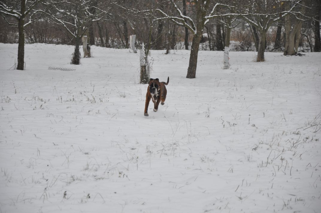 DSC_0186.JPG