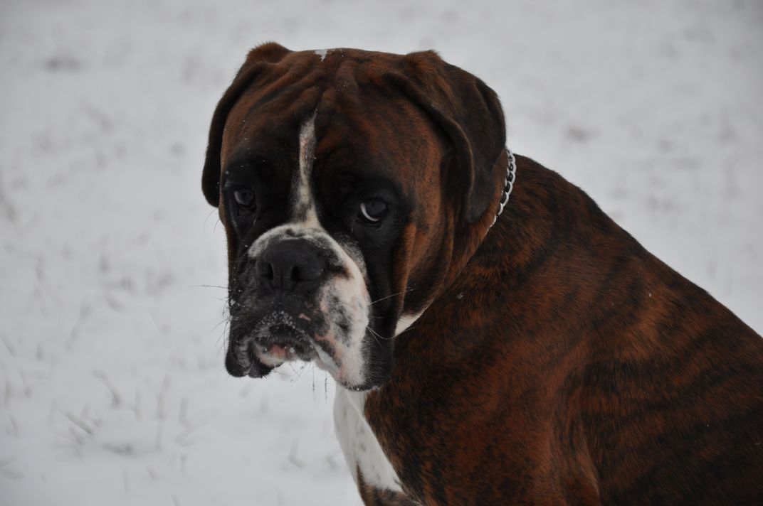 DSC_0192.JPG