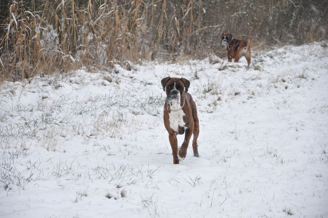 DSC_0214.JPG