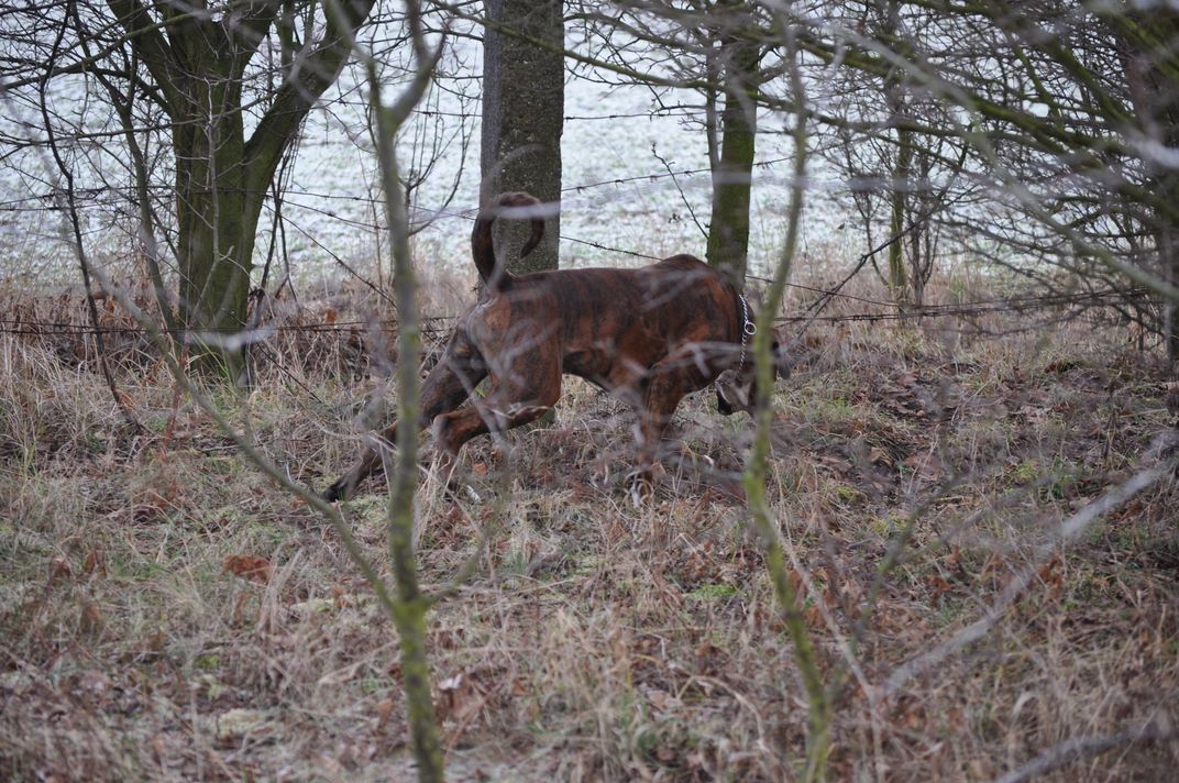 DSC_0340.JPG