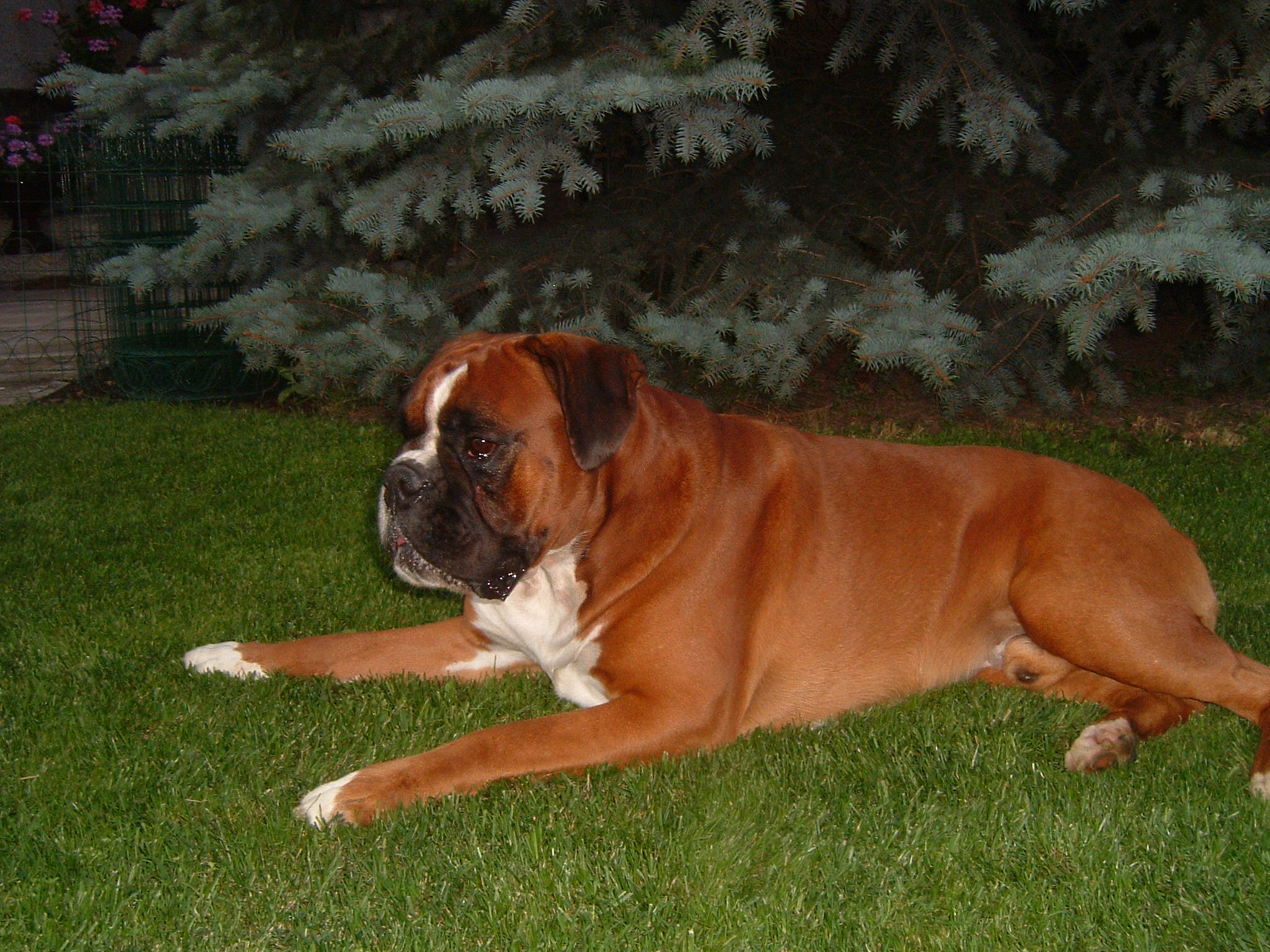 DSCF0005.JPG