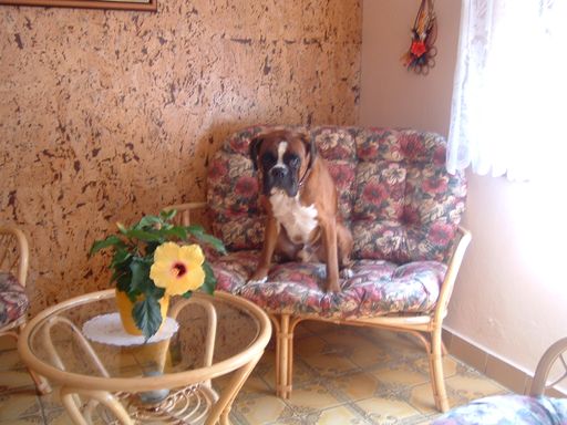 ibisek.JPG