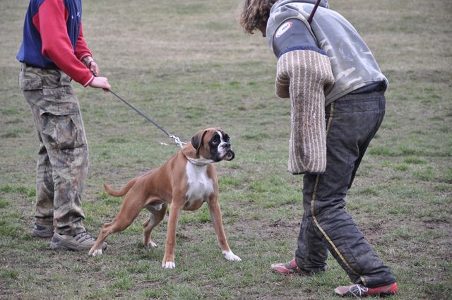 DSC_0379.JPG