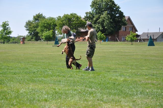 DSC_1075.JPG