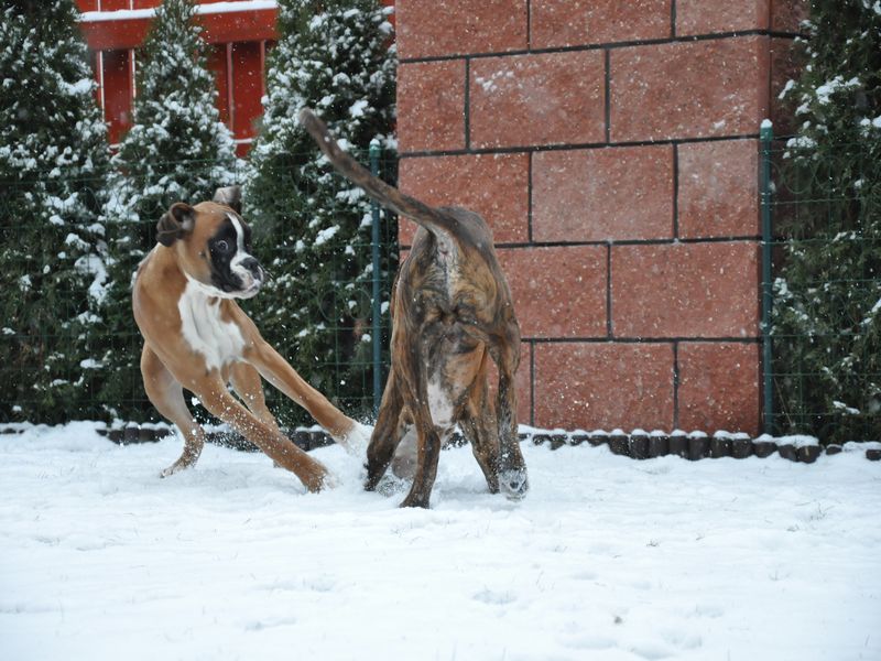 DSC_0188.JPG