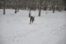 DSC_0186.JPG