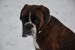 DSC_0192.JPG
