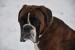 DSC_0193.JPG