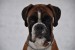 DSC_0197.JPG