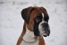 DSC_0206.JPG