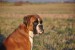 DSC_0297.JPG