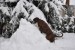 DSC_0355.JPG